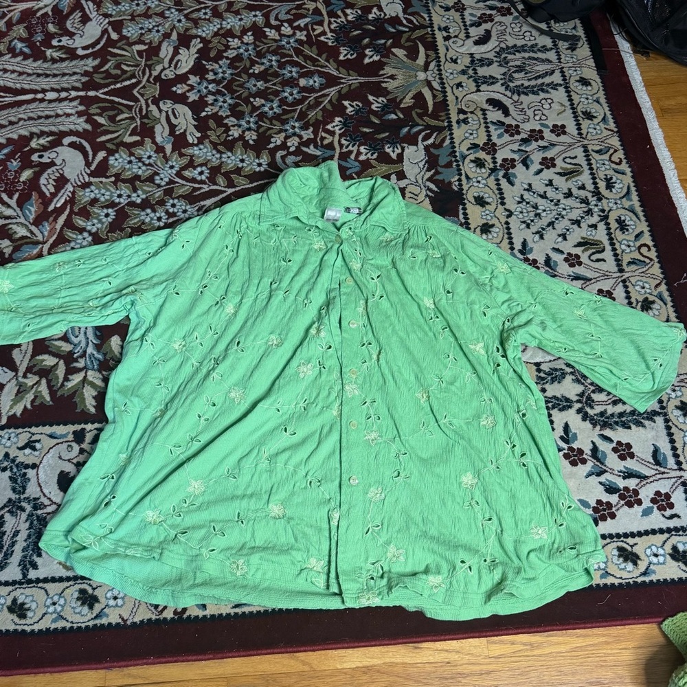 Whimsical plus size green eyelet shirt